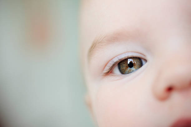 Image of a babies eye